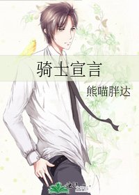 骑士宣言