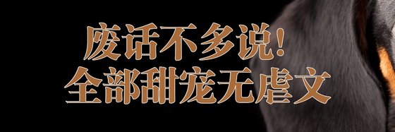 废话不多说！全部甜宠无虐文